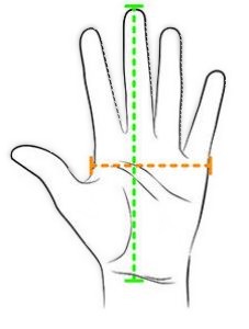 Hand measurements